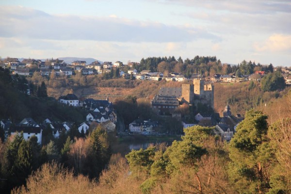 Blick von Süden auf die Burg un den Weinberg (im Hintergrund)