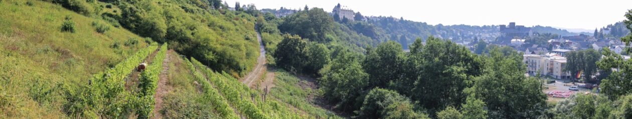 Runkeler Rote e.V.